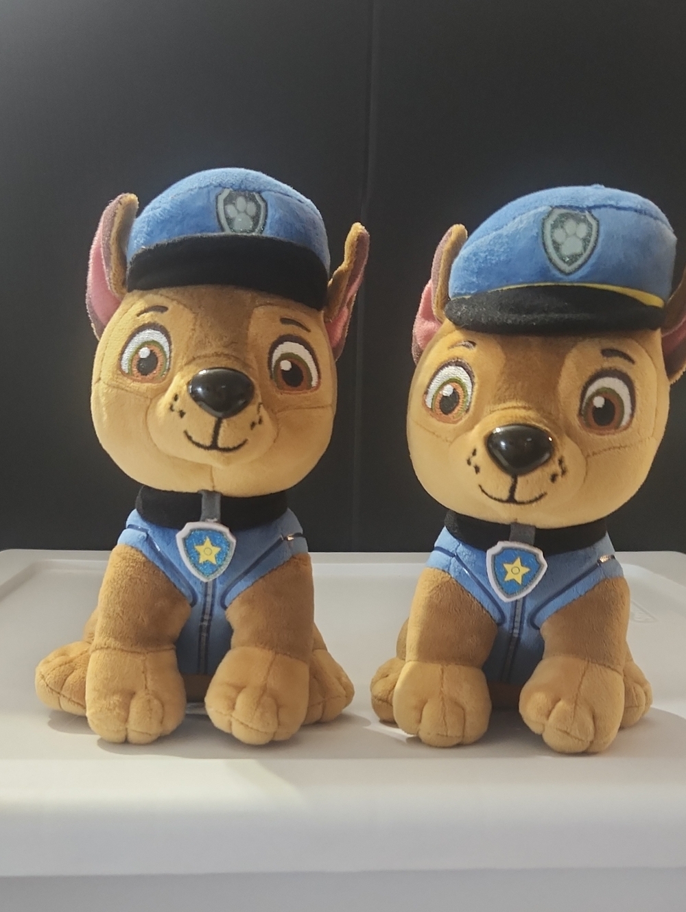 Paw Patrol pups